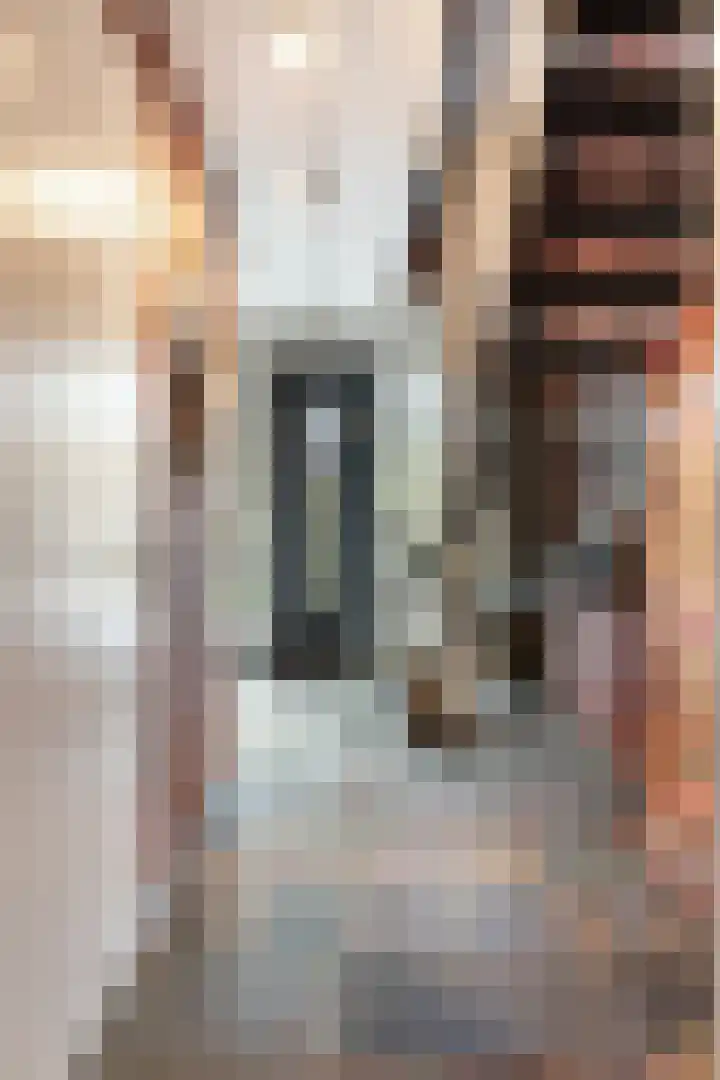 Veldekster 25 Ugchelen thumbnail 20