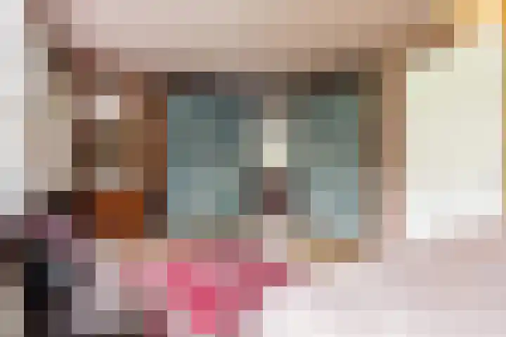 Veldekster 25 Ugchelen thumbnail 24