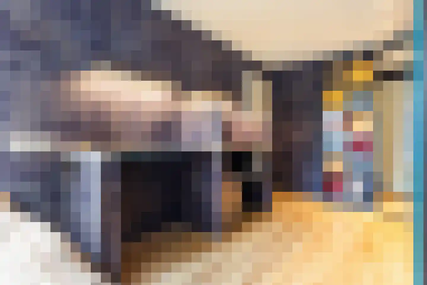 Veldekster 25 Ugchelen thumbnail 28
