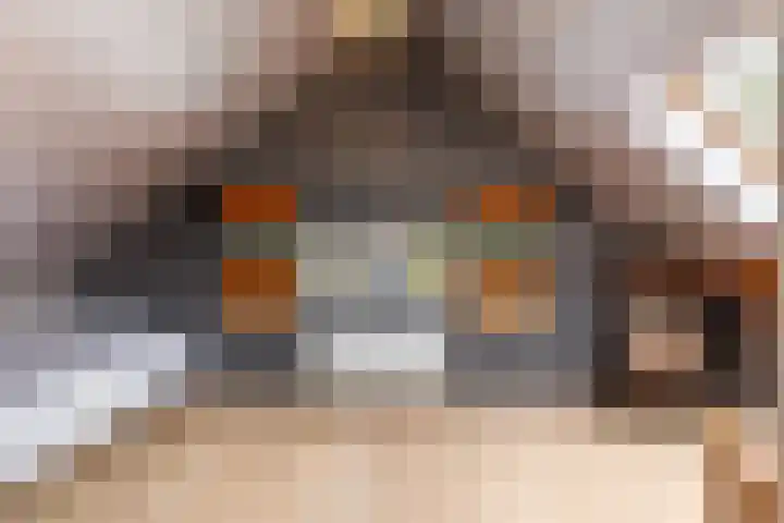 Veldekster 25 Ugchelen thumbnail 40