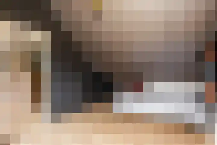 Veldekster 25 Ugchelen thumbnail 41