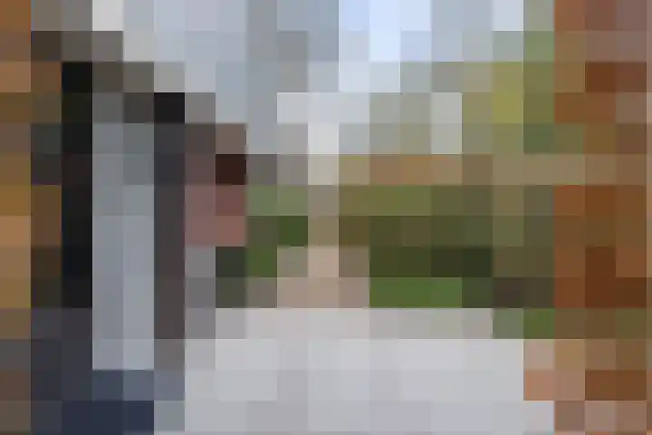 Veldekster 25 Ugchelen thumbnail 43