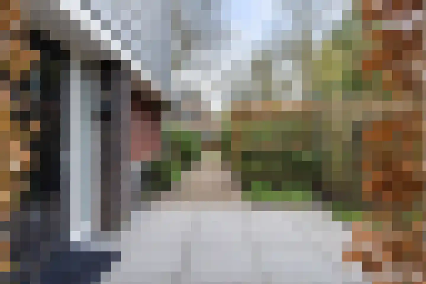 Veldekster 25 Ugchelen thumbnail 43