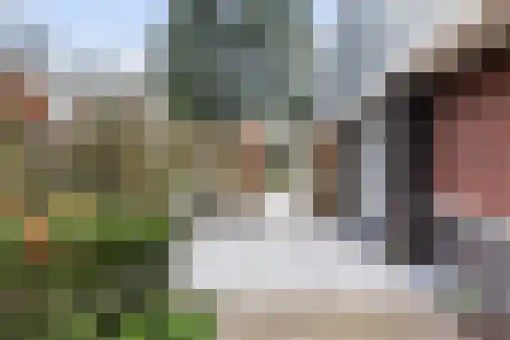 Veldekster 25 Ugchelen thumbnail 44