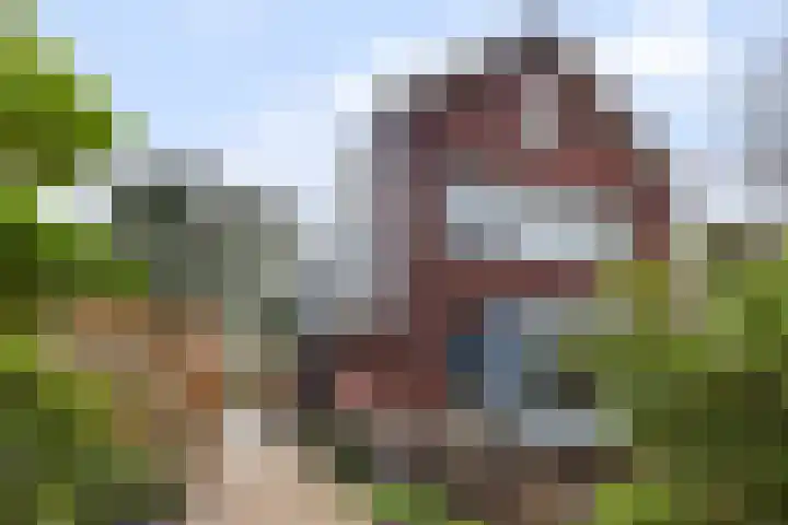 Veldekster 25 Ugchelen thumbnail 45