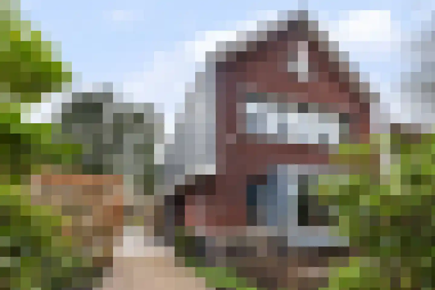 Veldekster 25 Ugchelen thumbnail 45