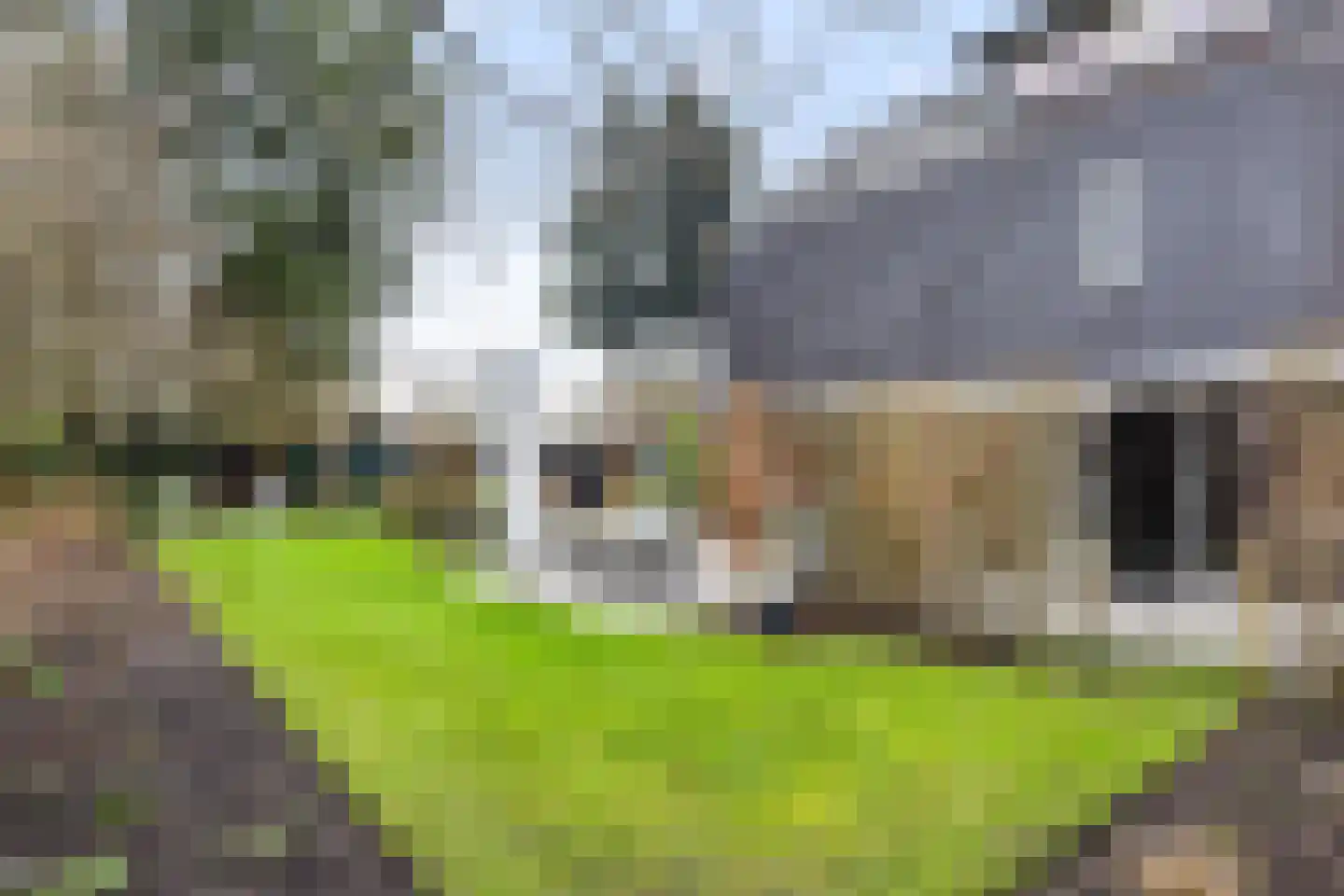 Veldekster 25 Ugchelen thumbnail 47
