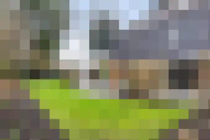Veldekster 25 Ugchelen thumbnail 47