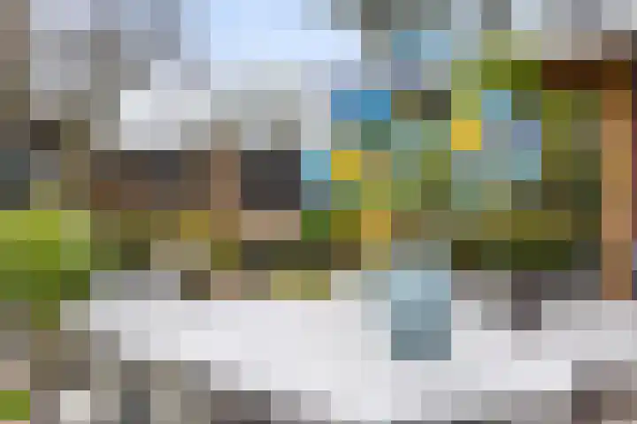 Veldekster 25 Ugchelen thumbnail 49