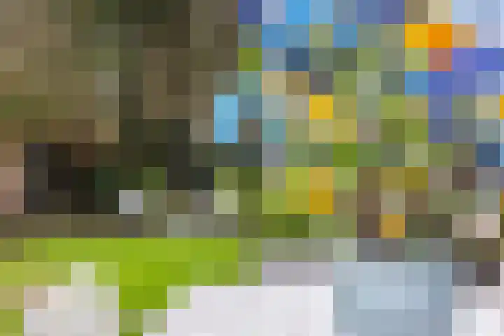 Veldekster 25 Ugchelen thumbnail 50