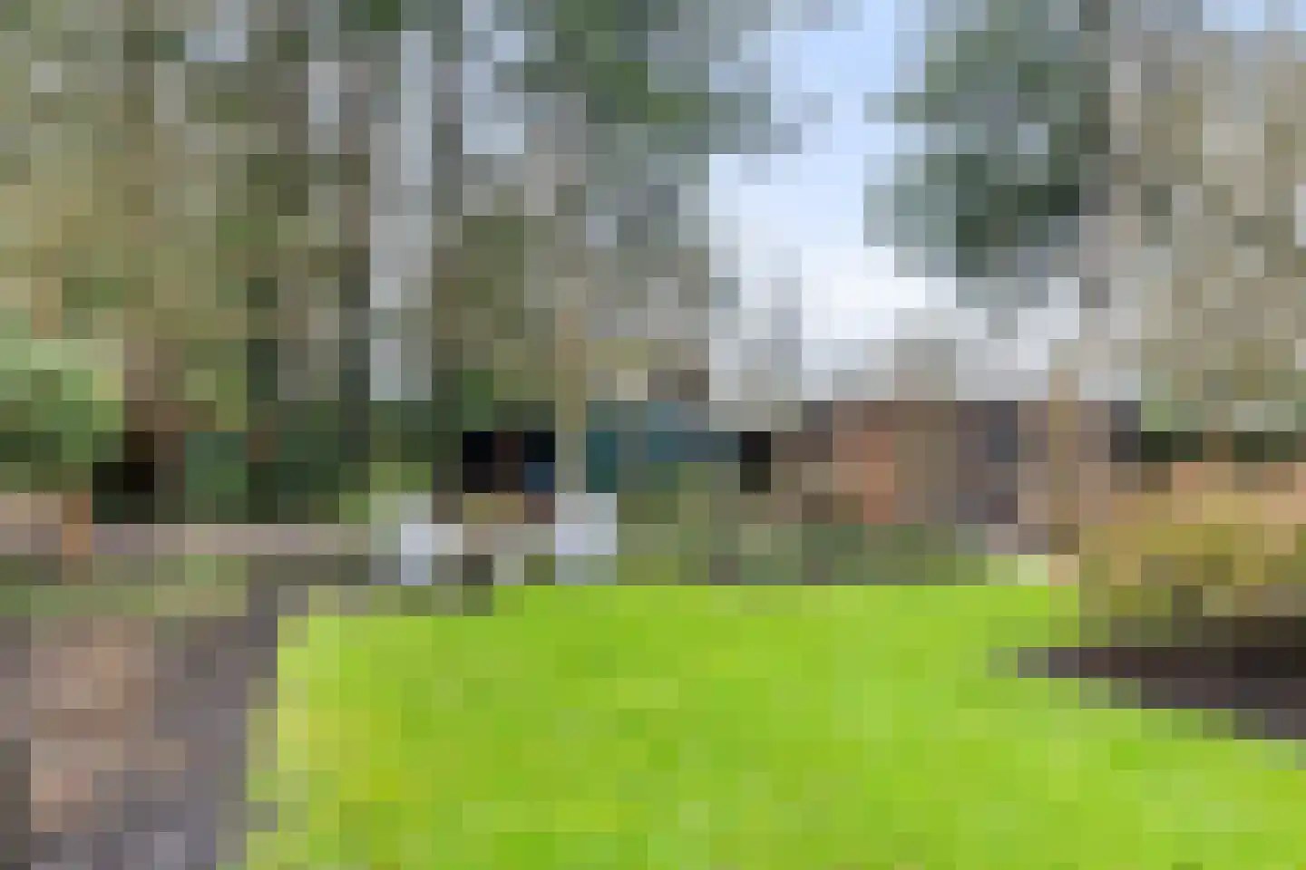 Veldekster 25 Ugchelen thumbnail 51