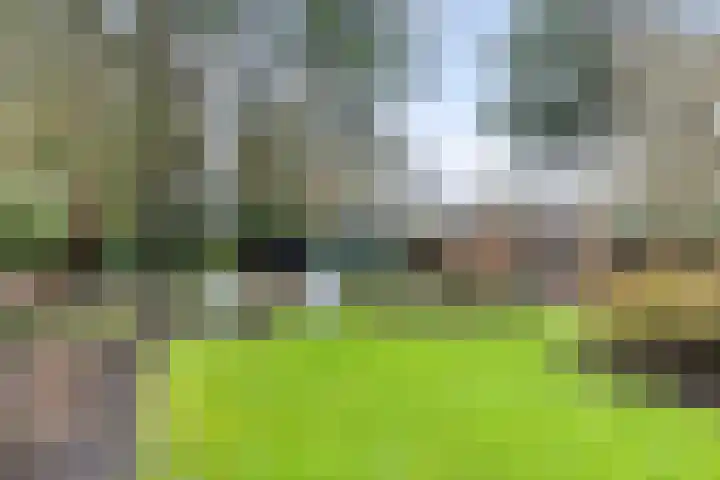 Veldekster 25 Ugchelen thumbnail 51