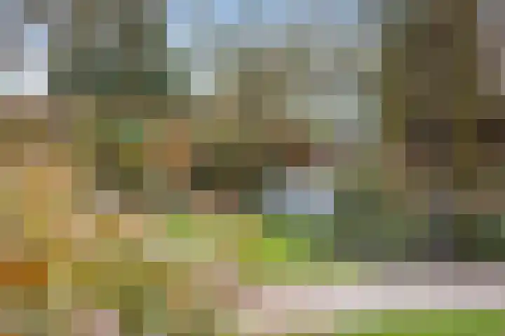 Veldekster 25 Ugchelen thumbnail 52