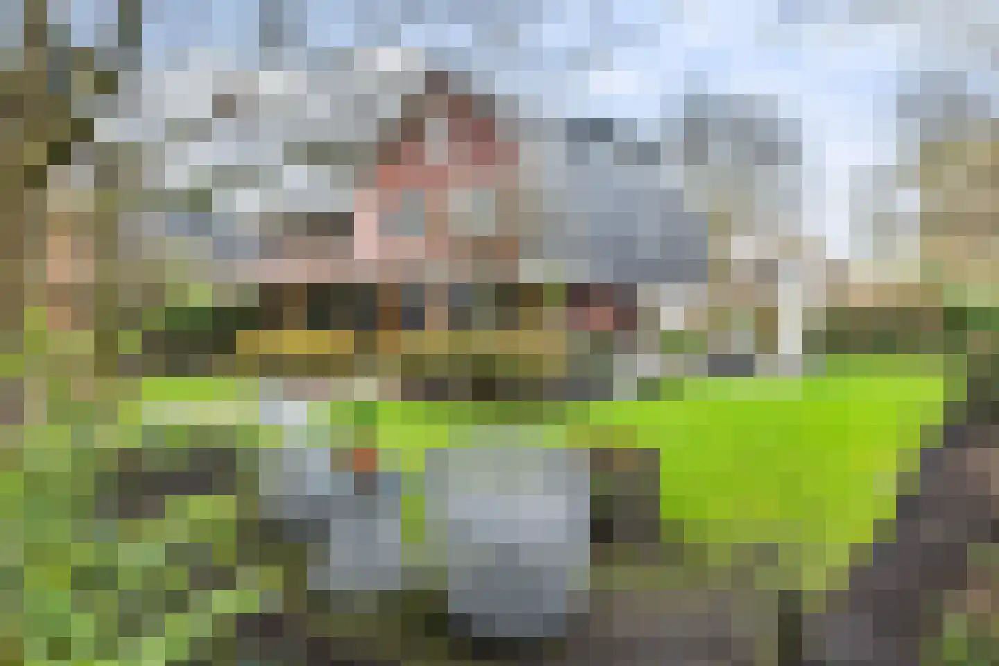 Veldekster 25 Ugchelen thumbnail 54