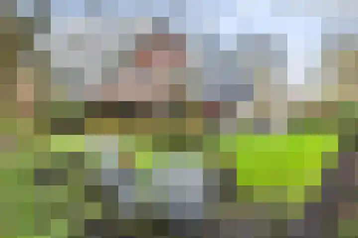 Veldekster 25 Ugchelen thumbnail 54