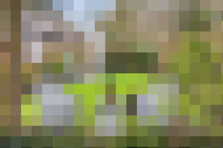 Veldekster 25 Ugchelen thumbnail 55