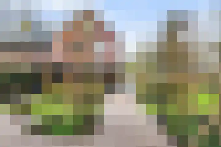 Veldekster 25 Ugchelen thumbnail 56