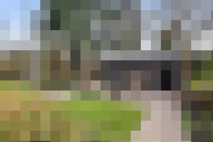 Veldekster 25 Ugchelen thumbnail 58