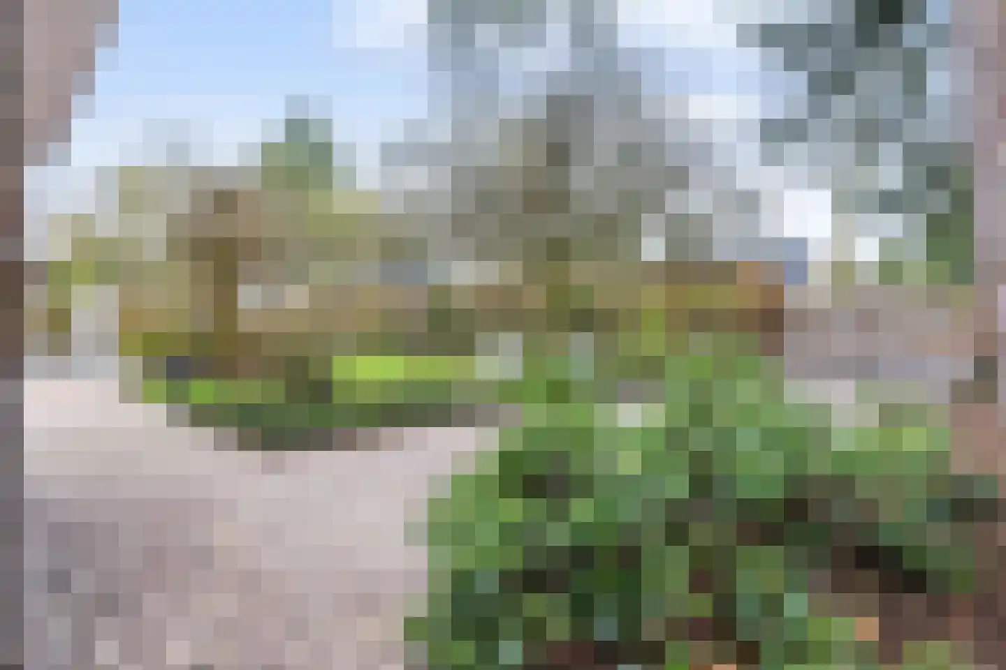 Veldekster 25 Ugchelen thumbnail 60