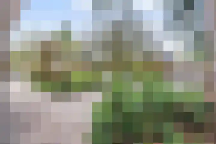 Veldekster 25 Ugchelen thumbnail 60