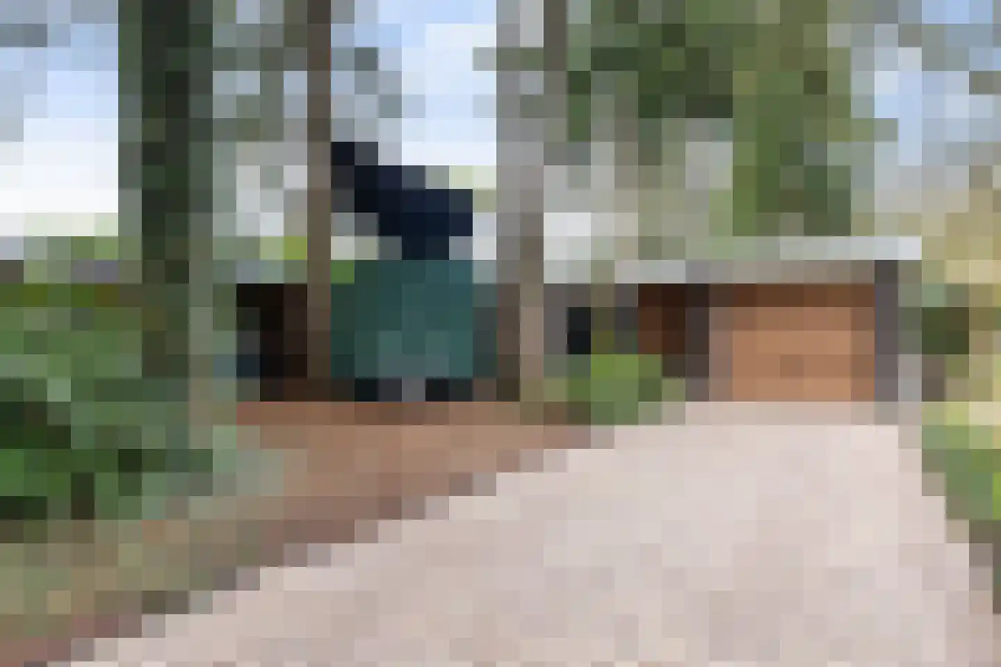 Veldekster 25 Ugchelen thumbnail 61