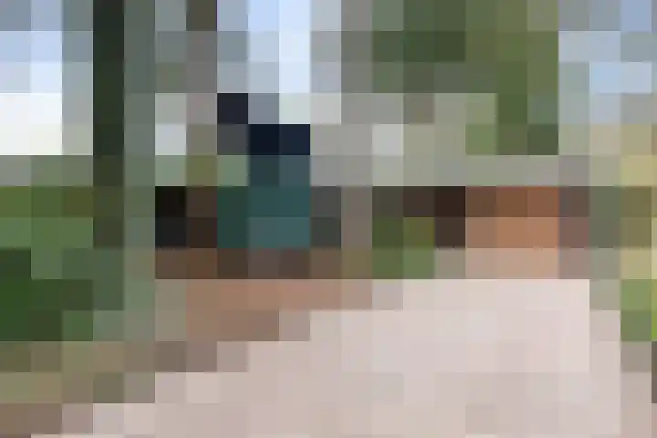 Veldekster 25 Ugchelen thumbnail 61