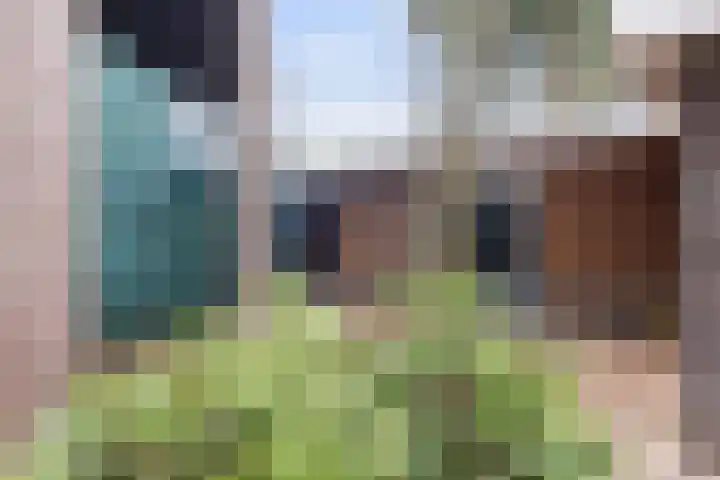 Veldekster 25 Ugchelen thumbnail 62