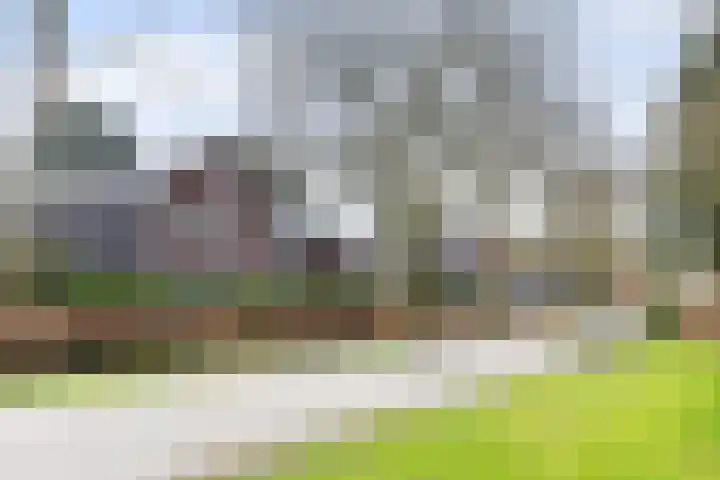 Veldekster 25 Ugchelen thumbnail 67