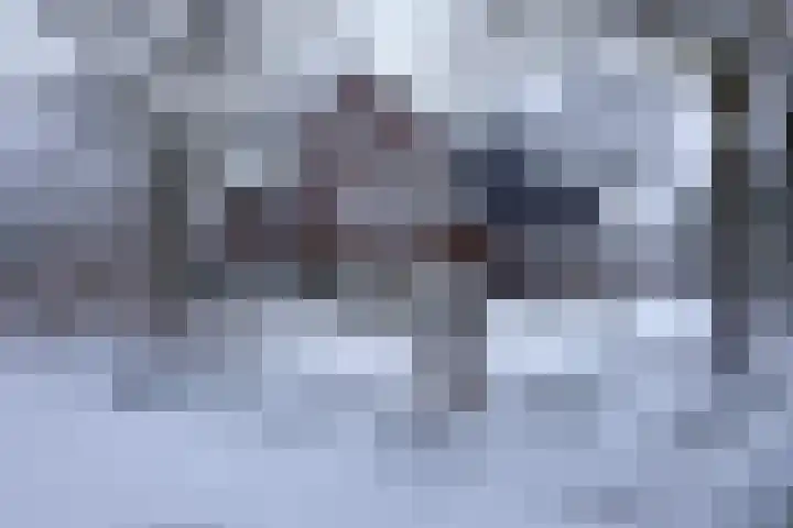 Veldekster 25 Ugchelen thumbnail 69