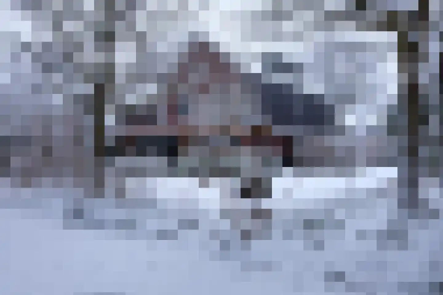 Veldekster 25 Ugchelen thumbnail 69