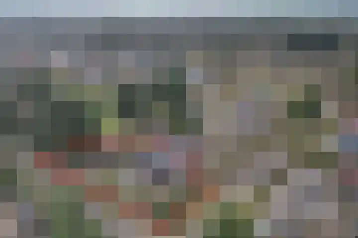 Veldekster 25 Ugchelen thumbnail 70