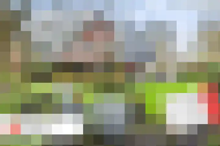 Veldekster 25 Ugchelen thumbnail 72