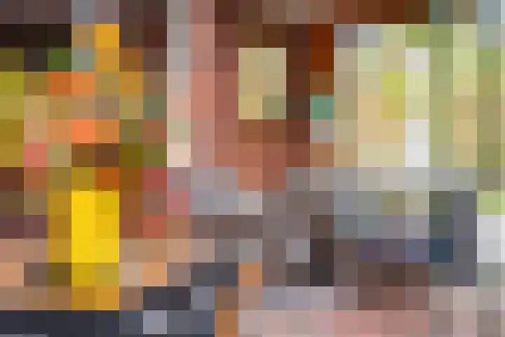 Veldekster 25 Ugchelen thumbnail 8