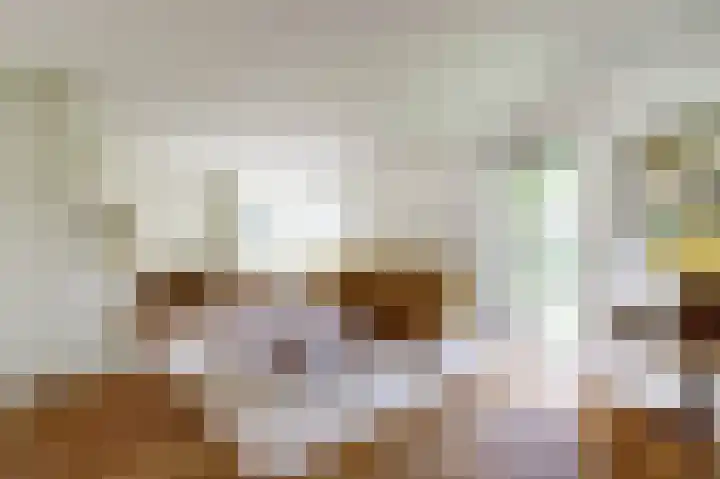 Veldekster 42 Ugchelen thumbnail 10