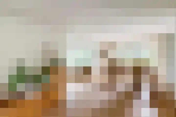 Veldekster 42 Ugchelen thumbnail 12