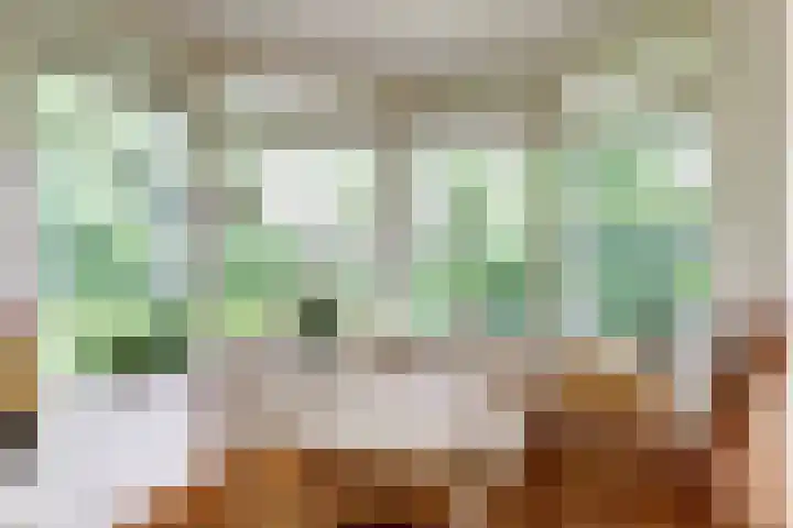 Veldekster 42 Ugchelen thumbnail 13
