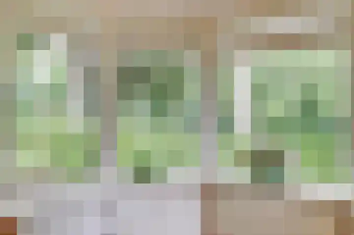 Veldekster 42 Ugchelen thumbnail 14