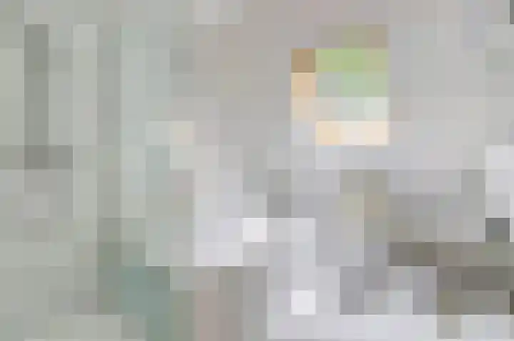 Veldekster 42 Ugchelen thumbnail 20