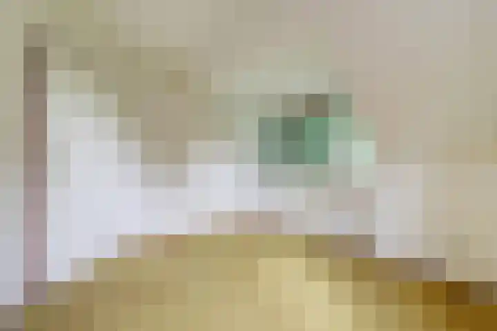 Veldekster 42 Ugchelen thumbnail 22