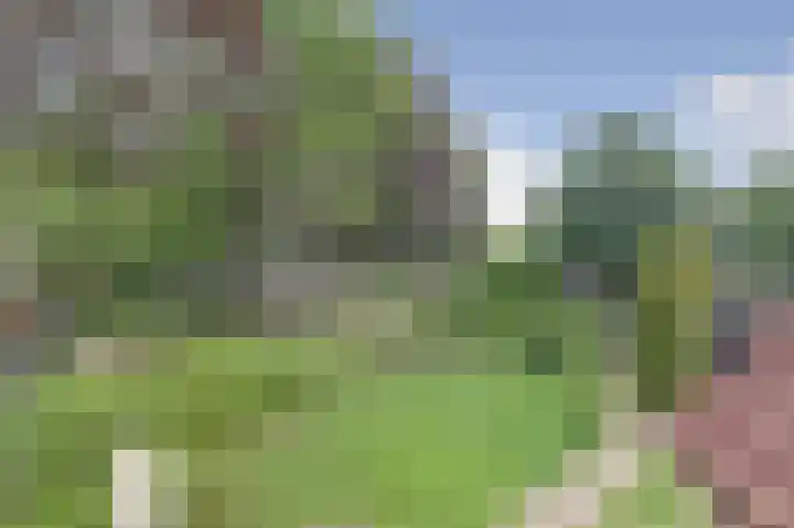 Veldekster 42 Ugchelen thumbnail 25