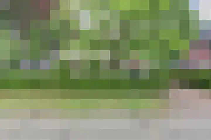 Veldekster 42 Ugchelen thumbnail 26