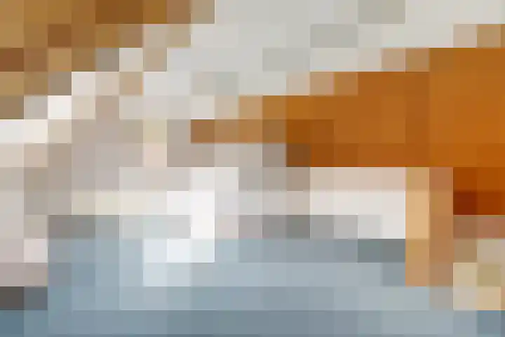 Veldekster 42 Ugchelen thumbnail 30