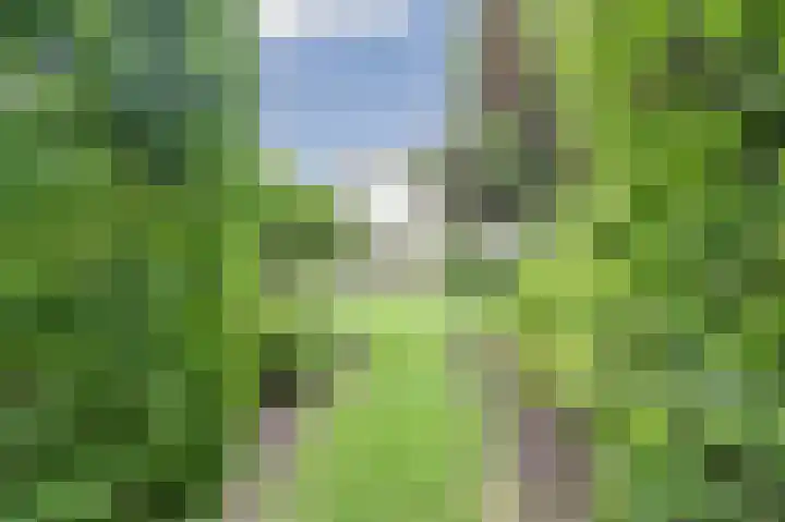 Veldekster 42 Ugchelen thumbnail 31