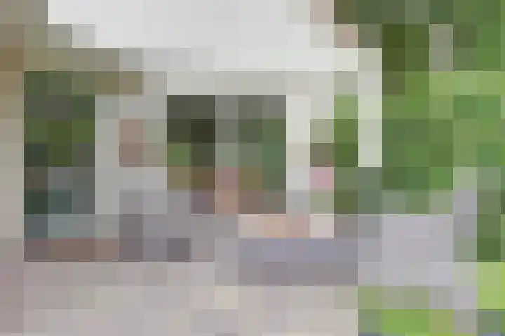 Veldekster 42 Ugchelen thumbnail 32