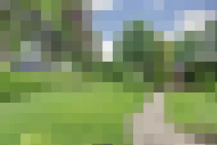 Veldekster 42 Ugchelen thumbnail 33