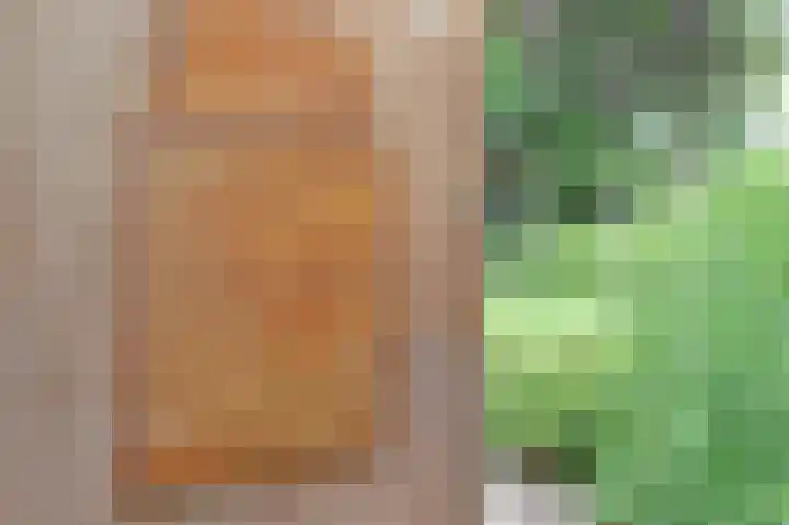 Veldekster 42 Ugchelen thumbnail 36