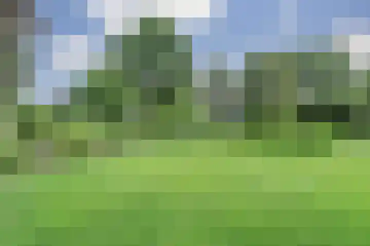 Veldekster 42 Ugchelen thumbnail 37