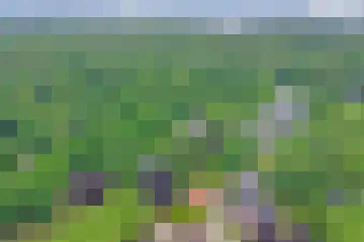 Veldekster 42 Ugchelen thumbnail 39