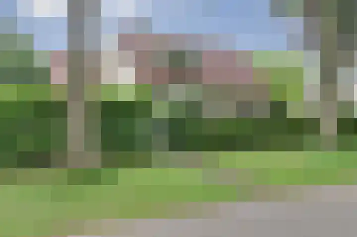 Veldekster 42 Ugchelen thumbnail 4