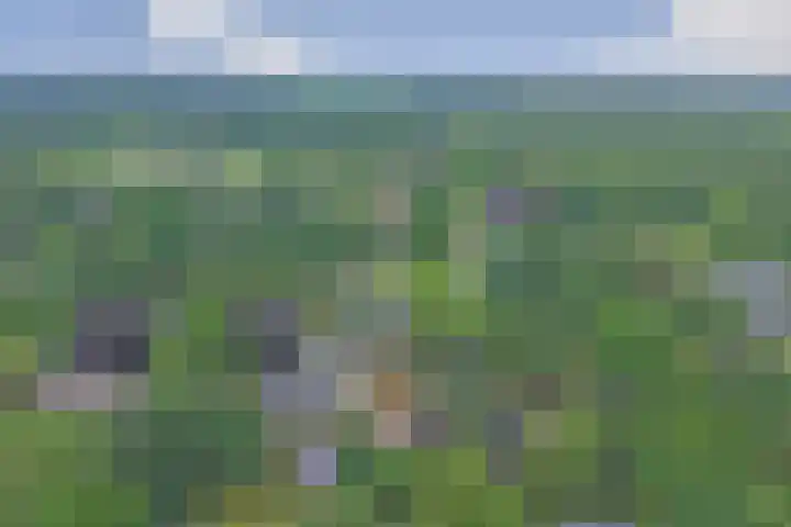 Veldekster 42 Ugchelen thumbnail 40